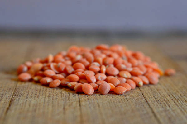 Passato di lenticchie rosse con crostini